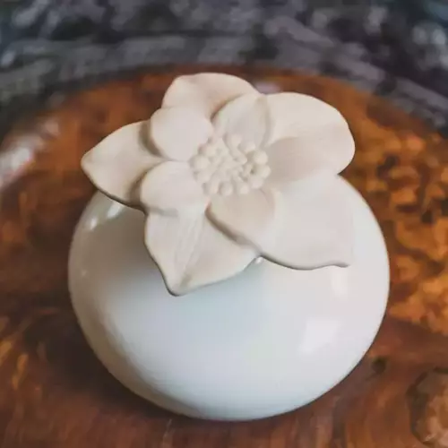 Diffuseur par capillarité en forme de fleur (iris)