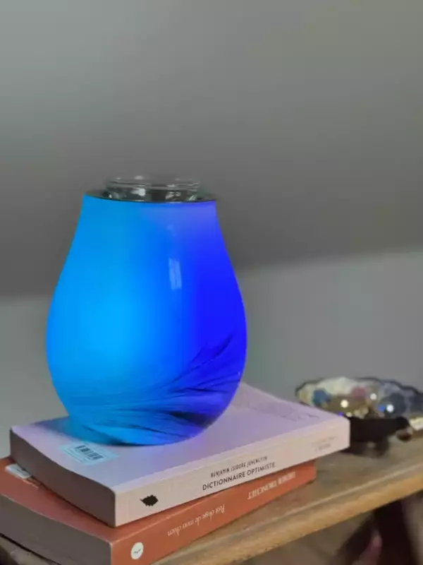 Brûleur électrique Carolya n°11