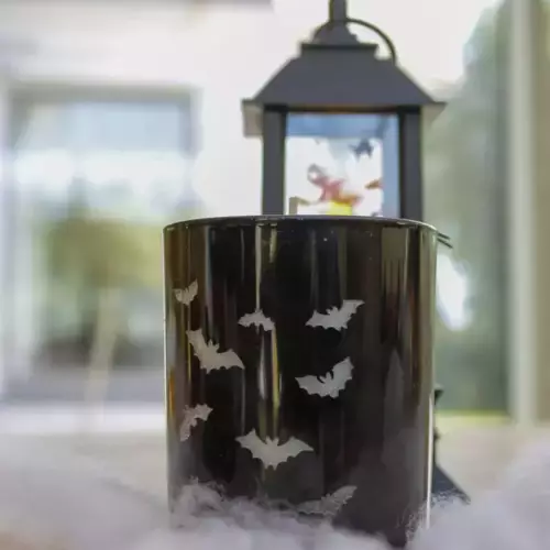 Bougie chauve souris