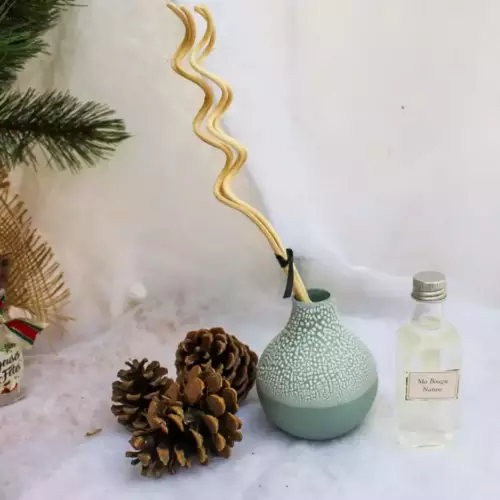 Diffuseur par capillarité vert 50ml