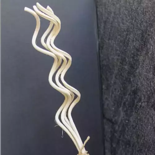 Tige en rotin pour Diffuseur par capillarité 30ml/ 50ml