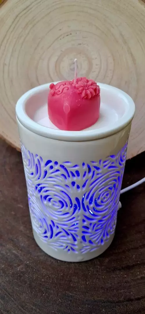 Bruleur électrique Carolya N°8