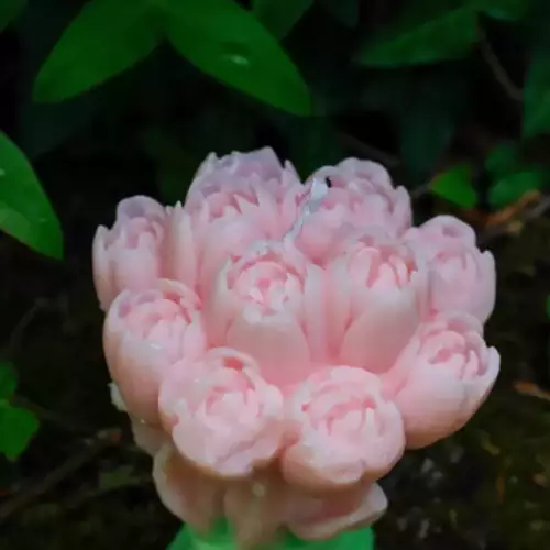 Bougies moulées bouquet de 12 tulipes