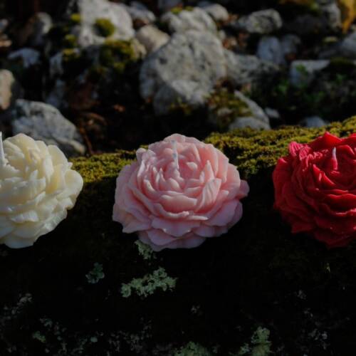 Bougie moulée en forme de pivoine